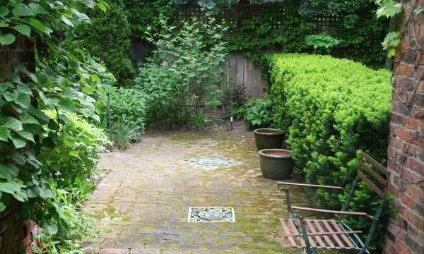 院子里長(zhǎng)青苔怎么去除,院子里青苔怎么清除 院子里青苔的解決方法視頻圖5