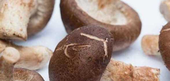 香菇放冷藏可以放多久,新鮮香菇在冰箱可以放幾天圖1