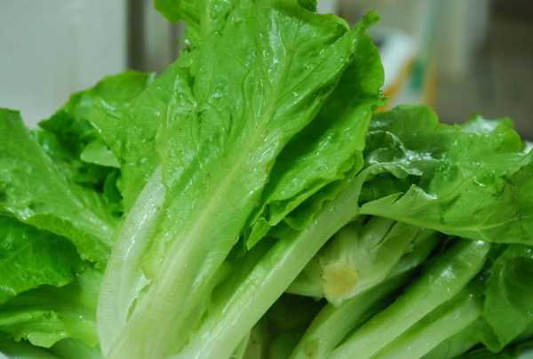 蠔油生菜怎么做竅門,蠔油生菜怎么做才好吃又簡(jiǎn)單圖3