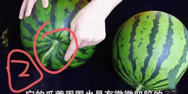 怎么區(qū)別西瓜熟沒熟?
