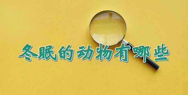 冬眠的動(dòng)物都有哪些,冬眠的動(dòng)物有哪些冬眠的動(dòng)物有哪些圖4