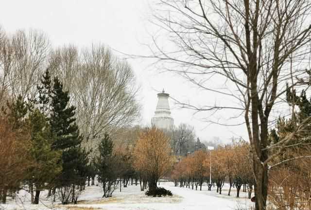 五臺山在哪個省，武當山、泰山、華山、五臺山、西湖、青海湖分布在哪個?。繄D5