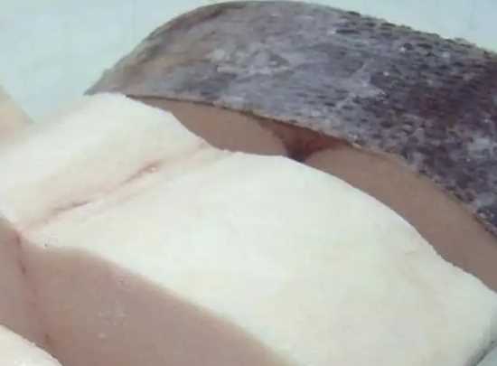 油魚和鱈魚的區(qū)別,油魚和鱈魚的區(qū)別圖片圖7