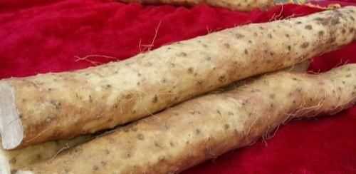 如何挑選好品質(zhì)的山藥，如何挑選山藥的好壞？圖10