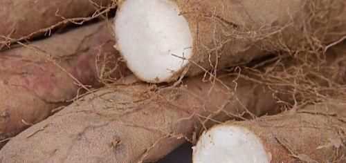 如何挑選好品質(zhì)的山藥，如何挑選山藥的好壞？圖12