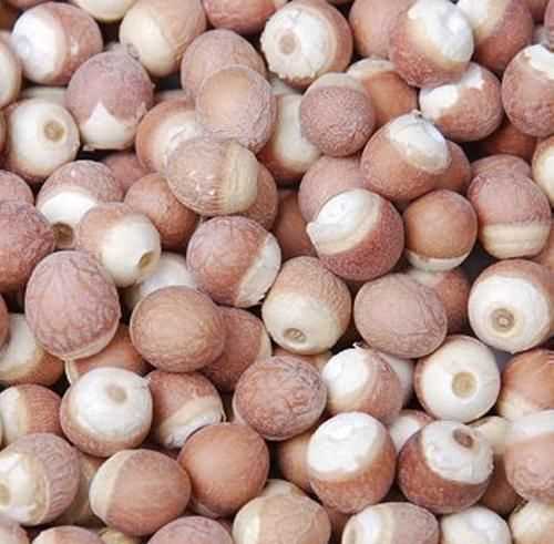 芡實和蓮子的區(qū)別圖片