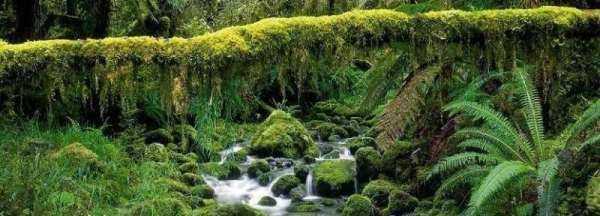 亞馬孫和亞馬遜有啥區(qū)別,亞馬孫和亞馬遜是一個地方嗎圖2