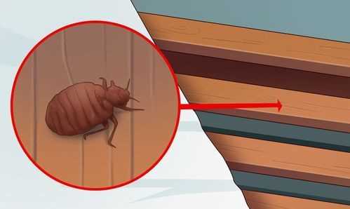 晚上開燈睡覺對(duì)人有什么傷害