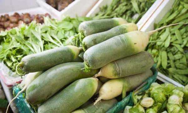 樓房怎樣儲存大蘿卜,在北方冬天樓房怎么儲存蘿卜圖3