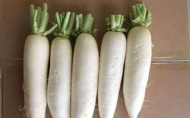 怎樣儲存大蘿卜不糠