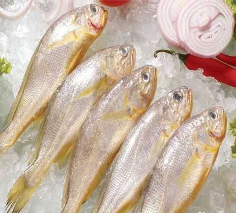 勁仔小魚有什么味道