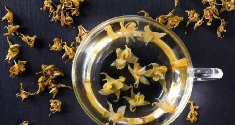 鐵皮石斛怎么泡水喝方法