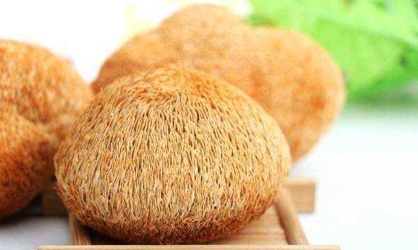 市場上常吃的蘑菇種類,常吃的20種蘑菇的種類圖片圖6