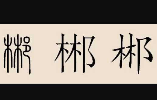 木木耳是什么字,一個木一個耳讀什么字啊圖4