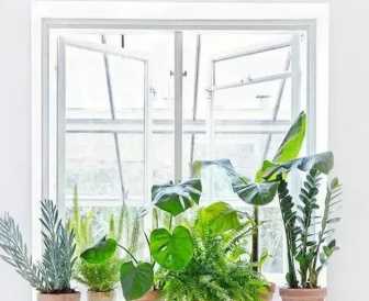 抽屜里甲醛超標(biāo)要緊,衣柜甲醛超標(biāo)室內(nèi)不超標(biāo)可以住嗎圖1