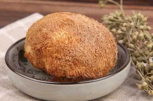 干猴頭菇怎么泡發(fā)最好