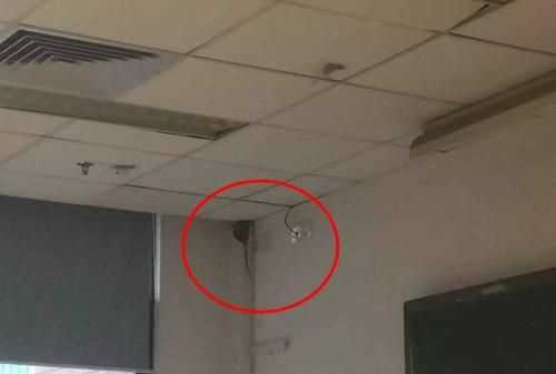 我的單位辦公室和宿舍棚上，里面有老鼠怎么辦，求助各位了