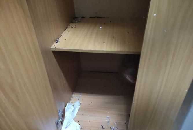 寢室有老鼠爬到你床上來(lái)怎么辦