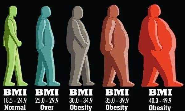 體脂怎么測(cè)比較準(zhǔn),怎么才能測(cè)體脂率圖5