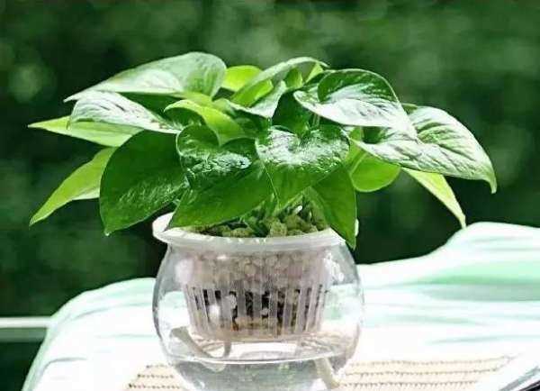 泡沫膠甲醛多久消失,甲醛要多久才消失圖1