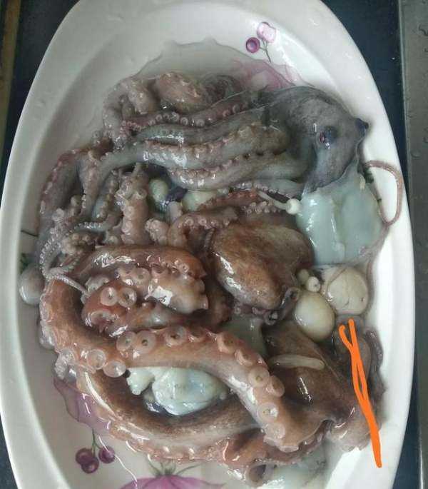 海鮮爆頭是什么東西,海邊有些漁民吃八爪魚動(dòng)不動(dòng)就是爆頭的圖5