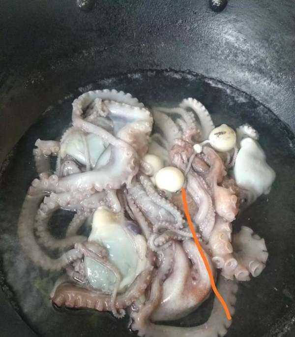 海鮮爆頭是什么東西,海邊有些漁民吃八爪魚動(dòng)不動(dòng)就是爆頭的圖7