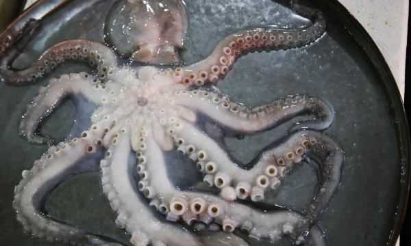 海鮮爆頭是什么東西,海邊有些漁民吃八爪魚動(dòng)不動(dòng)就是爆頭的圖9