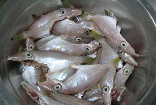 殺剝皮魚的時候頭要去掉嗎