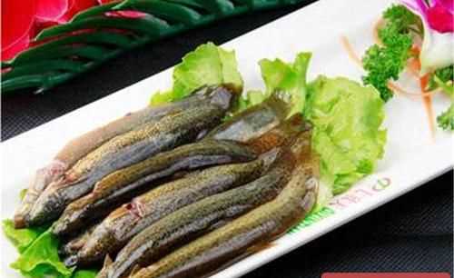 泥鰍死了一個小時左右已經變硬了