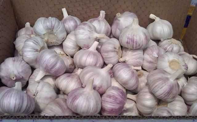 糖醋蒜為什么冒氣泡，用水封口玻璃罐腌制糖蒜兩天了，現(xiàn)在糖蒜出現(xiàn)冒氣泡現(xiàn)象，這是什么原因？圖3