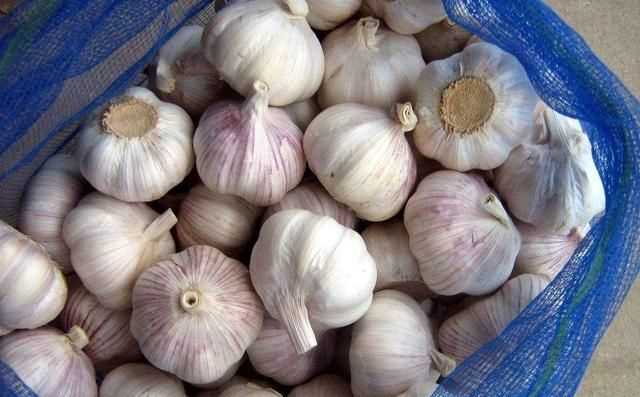 糖醋蒜為什么冒氣泡，用水封口玻璃罐腌制糖蒜兩天了，現(xiàn)在糖蒜出現(xiàn)冒氣泡現(xiàn)象，這是什么原因？圖5