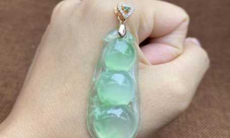 冰豆子寓意,玉四季豆的寓意是什么圖3