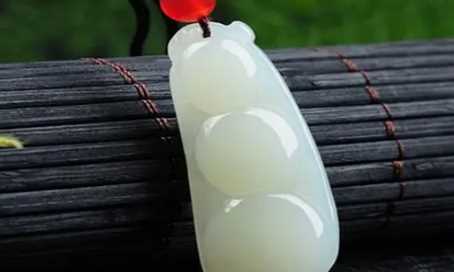 冰豆子寓意,玉四季豆的寓意是什么圖6