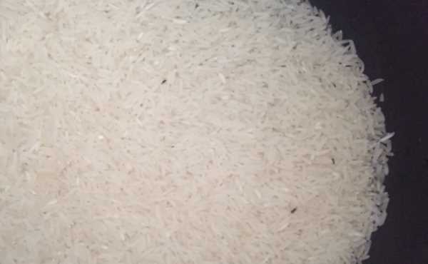 米里生黑蟲子還能吃嗎,大米生了好多小黑蟲還能吃圖2