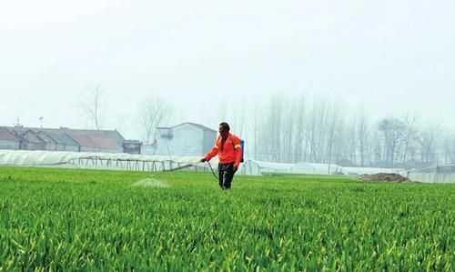 谷雨是下雨好還是不下雨好，農(nóng)村俗語：“雨水落雨三大碗，大河小河都要滿”，雨水下雨好不好？圖3