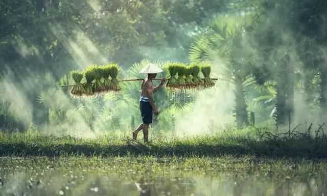 谷雨是下雨好還是不下雨好，農(nóng)村俗語：“雨水落雨三大碗，大河小河都要滿”，雨水下雨好不好？圖6
