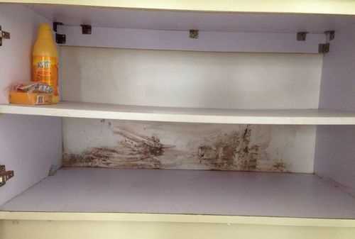 衣服放在宿舍柜子里會發(fā)霉嗎