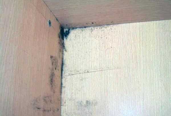 衣柜里面衣服放太少了 會不會讓衣服發(fā)霉了