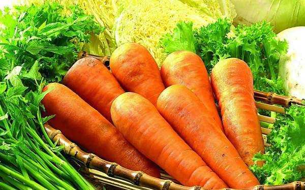 胡蘿卜泥的功效與作用,胡蘿卜泥的功效和作用圖2