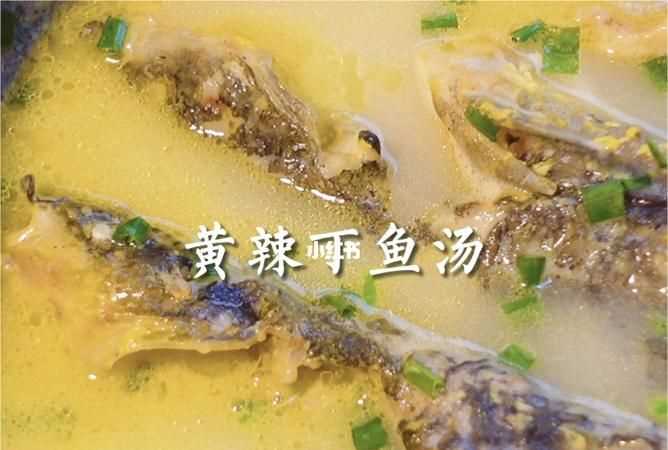 黃顙魚的功效與作用、禁忌和食用方法