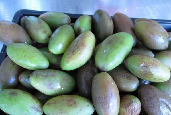 金香欖可以直接吃,生橄欖嚼著吃致癌 能不能直接嚼著吃生橄欖呢圖2