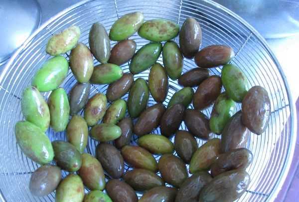 金香欖可以直接吃,生橄欖嚼著吃致癌 能不能直接嚼著吃生橄欖呢圖4