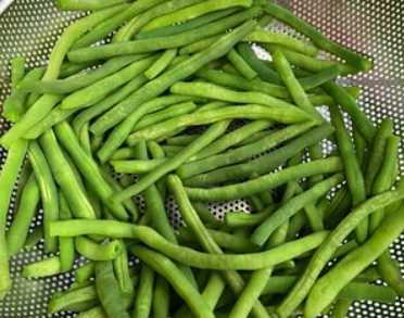 豆角怎樣凍才能保持綠色好吃,油豆角怎么凍速凍才好吃圖5