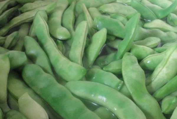 豆角怎樣凍才能保持綠色好吃,油豆角怎么凍速凍才好吃圖11