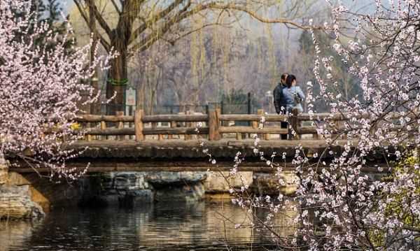伏羲洞的由來(lái),酉陽(yáng)桃花源的太古洞就是伏羲洞嗎圖4