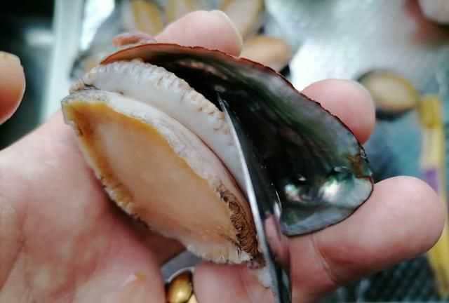 鮑魚蒸地時(shí)候要去內(nèi)臟嗎