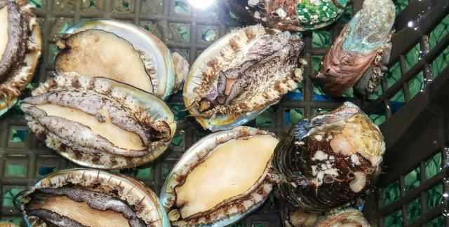 鮑魚要去內(nèi)臟嗎，鮑魚蒸地時(shí)候要去內(nèi)臟嗎？圖3