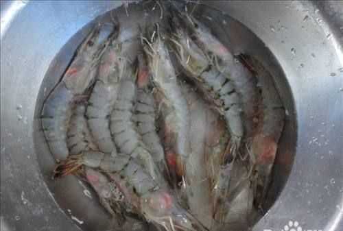 水產(chǎn)中浸泡蝦用食鹽還是用碘好呢