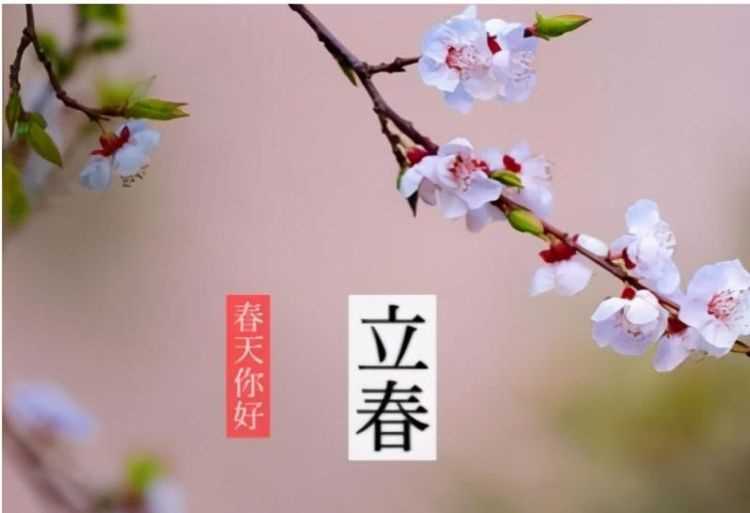 立春和打春詞語(yǔ)哪個(gè)好一點(diǎn)
