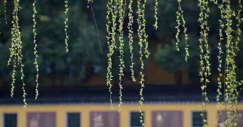 打春和立春有什么區(qū)別,立春和打春詞語(yǔ)哪個(gè)好一點(diǎn)圖2